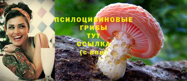 гидра Вяземский