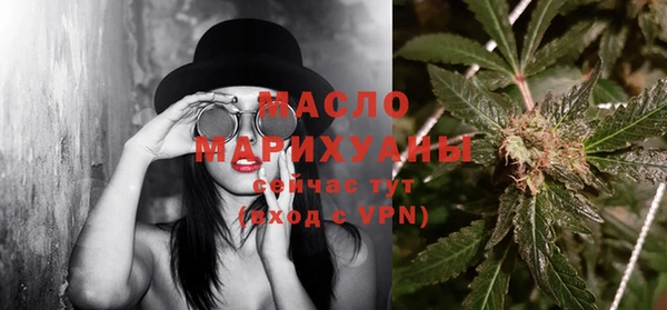 гидра Вяземский