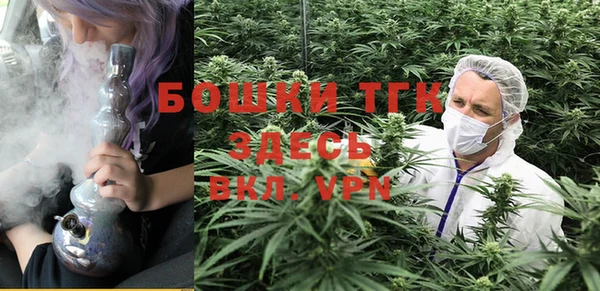 гидра Вяземский