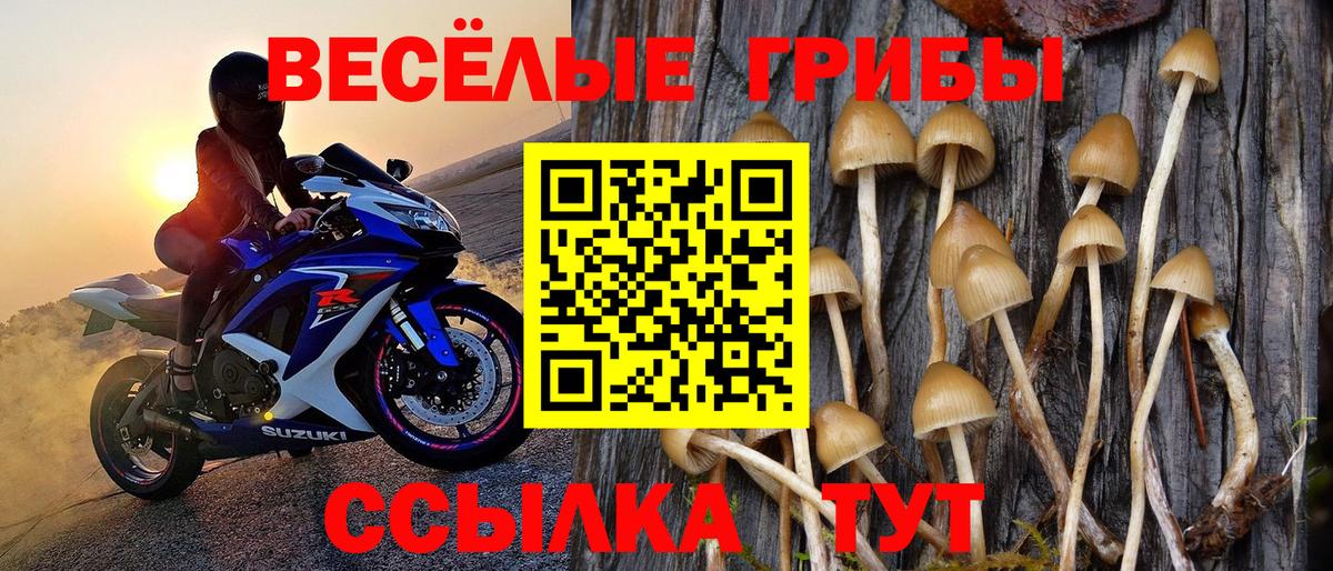 Псилоцибиновые грибы Magic Shrooms  Большой Камень 