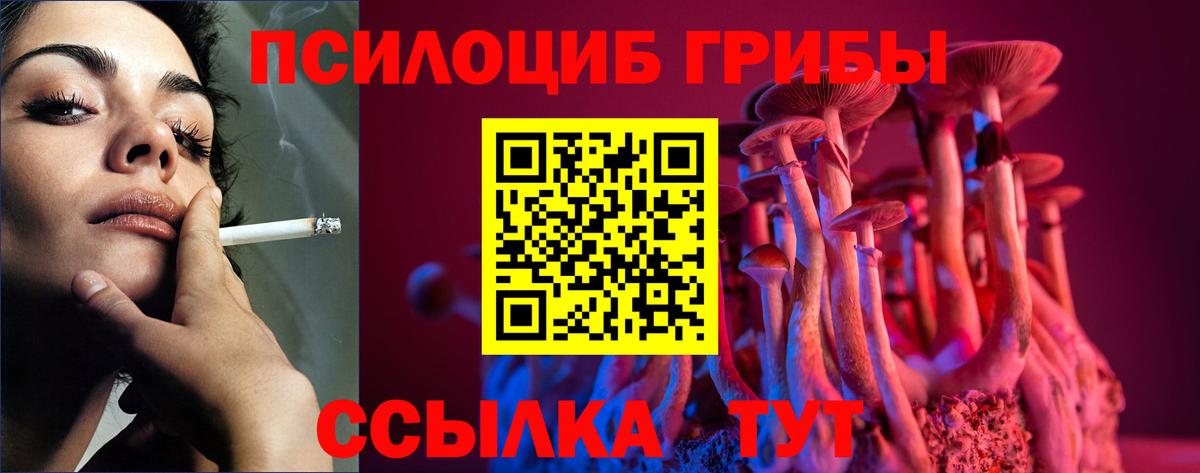 Псилоцибиновые грибы MAGIC MUSHROOMS  Вход с VPN  где купить   Большой Камень 